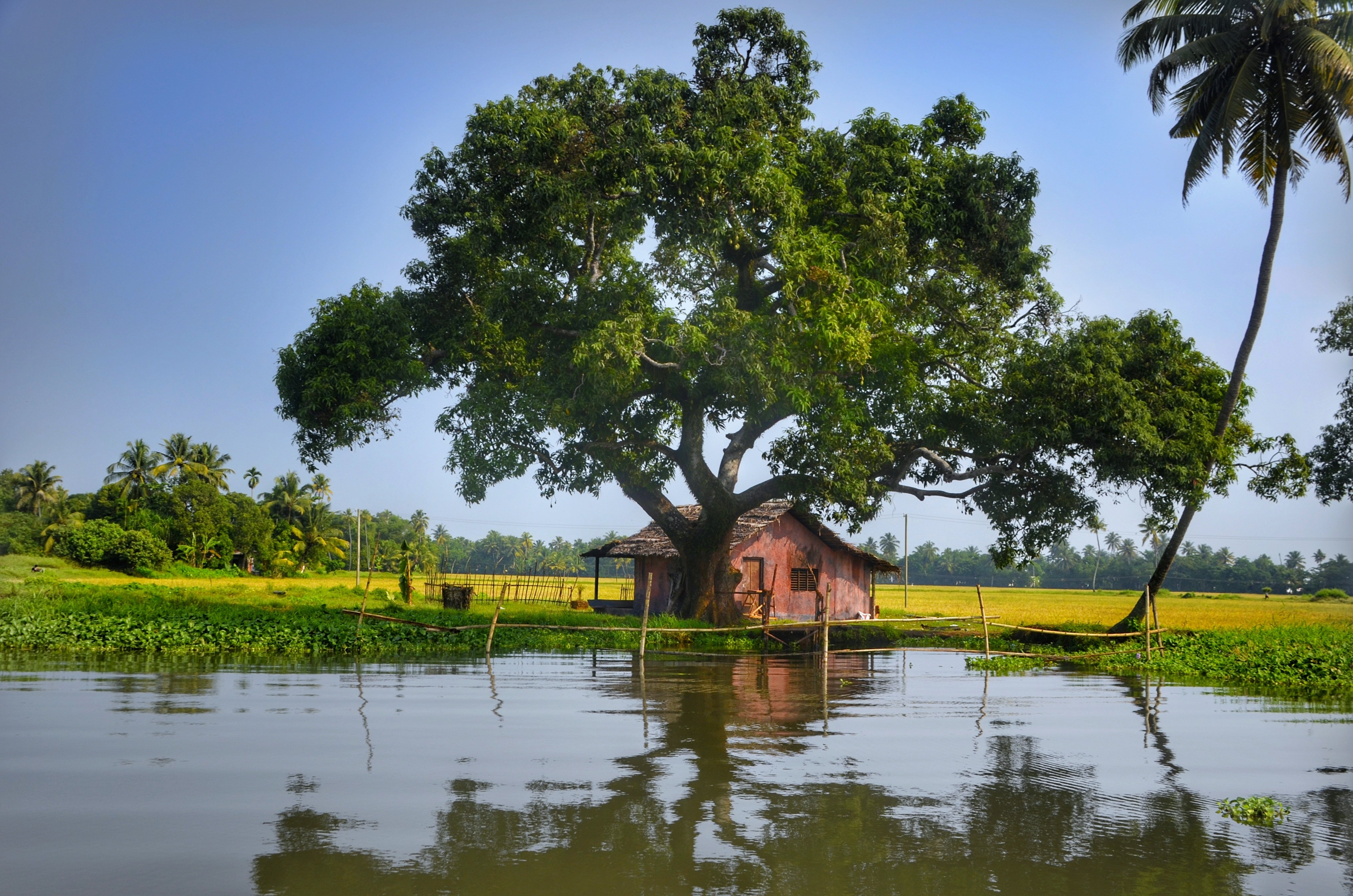 Kerala Honeymoon Packages